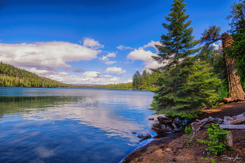 PNW Landscapes