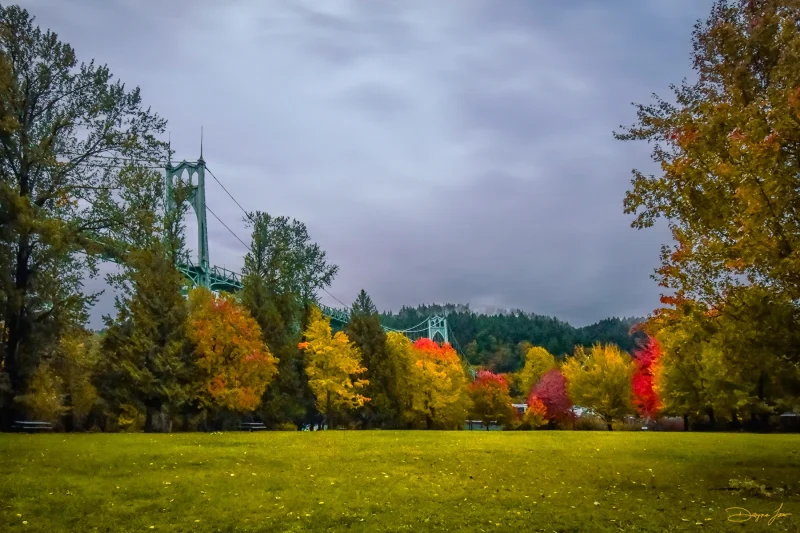 "Cathedral Park Autumn"