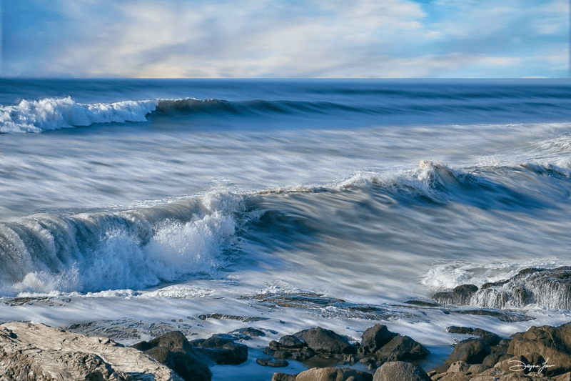 "Salt Water Sanctuaries"